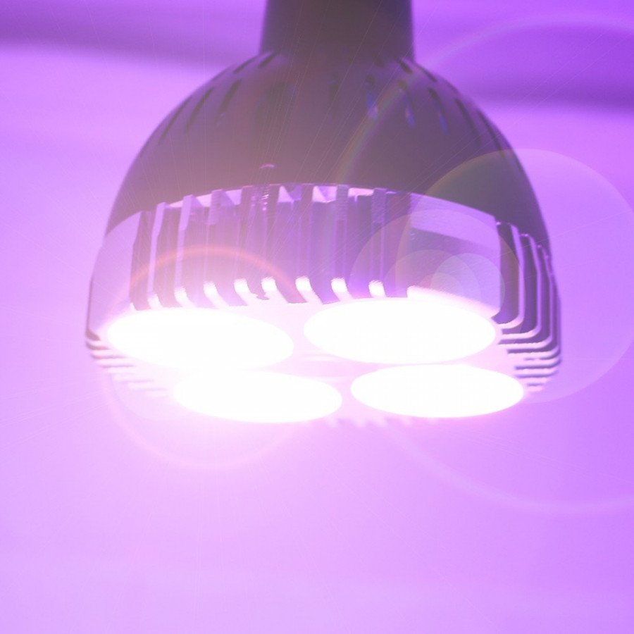 Ampoule horticole LED E27 pour plantes SpectraBULB X30 - 30W - 2