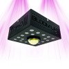 LED-Gartenbaulampe für Wachstum und Blüte – SpectraPANEL X160 – 160 W – CREE und OSRAM