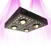 LED-Gartenbaulampe für Wachstum und Blüte – SpectraPANEL X640 – 640 W – CREE und OSRAM