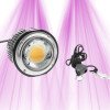 SpectraBUD X60 – 60 W LED-Gartenbeleuchtung – Cree & Osram LEDs