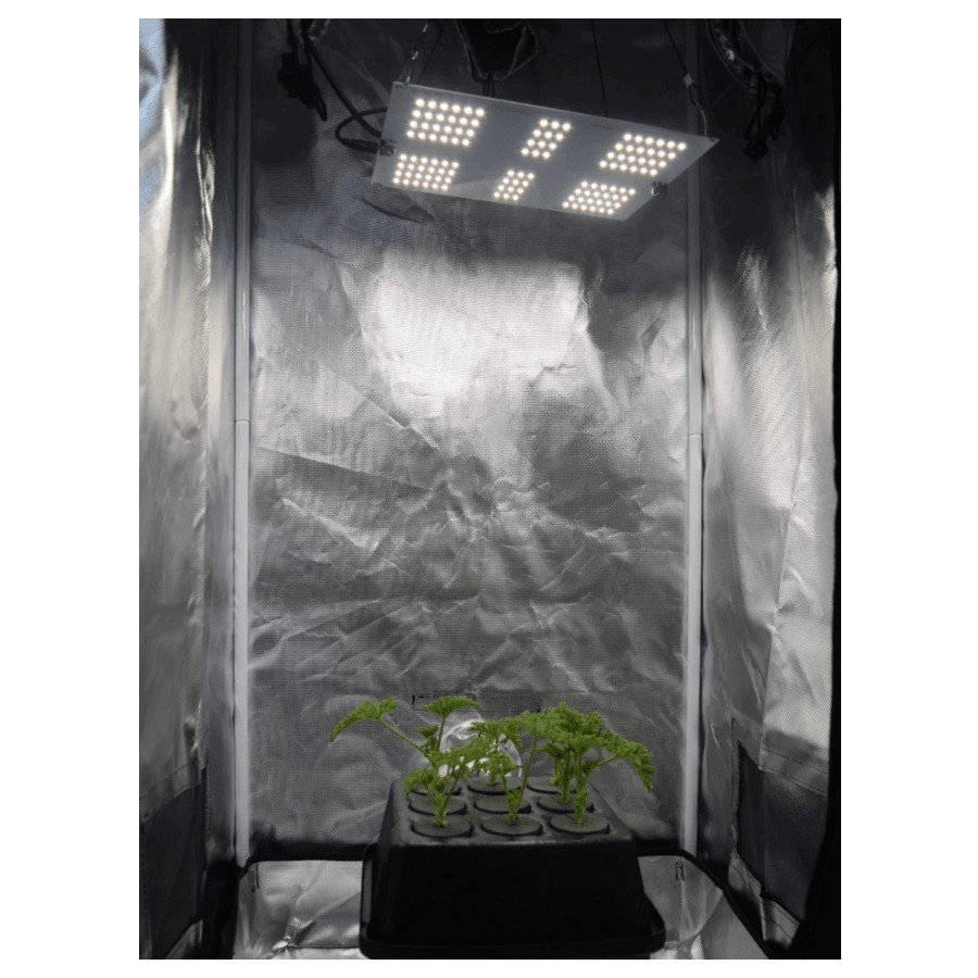HLG 65 V2 - Lampe horticole LED - 4000K Horticulture Lighting Group - 5