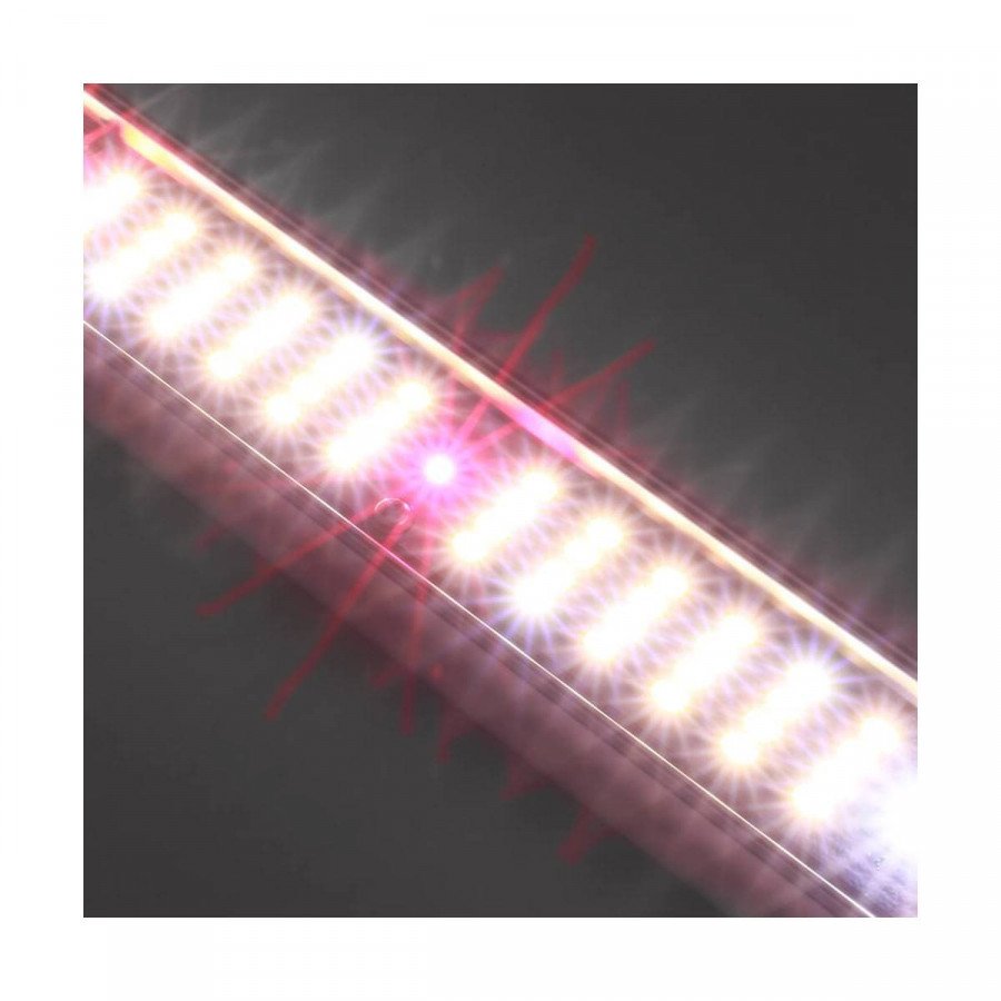SpectraB.2.G X45 - Lampe horticole LED - 45W 60cm - 3
