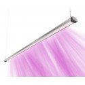 Barre Horticole LED SpectraB.2.G X90 120cm - Idéale pour croissance & floraison - 1
