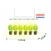 Barre Horticole LED SpectraB.2.G X90 120cm - Idéale pour croissance & floraison - 3