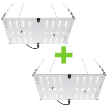 Pack x2 HLG 65 V2 Horticulture Lighting Group - 1