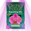 Substrat pour orchidées 3L - Orchid Focus - 1