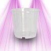 Transparenter Kunststofftopf für Orchideen mit 17 cm Durchmesser