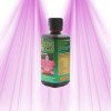 Orchid Focus Blütendünger 300 ml – 1 l – Die Lösung für außergewöhnliche Blüten