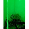 Eclairage nocturne pour vos plante - Ruban Led - 9W par mètre - 1m - 5