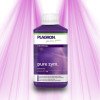 Plagron Pure Zym - Accélère l'absorption des nutriments Plagron - 3