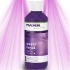 Plagron Sugar Royal - Améliore le goût et réduit la période de culture Plagron - 2