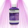 Plagron Power Roots - Stimule la formation des racines et booste la résistance Plagron - 4