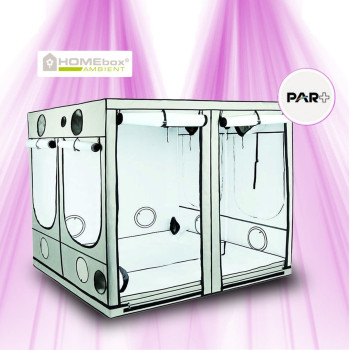 Chambre de culture Homebox Ambient AQ 240+ - 240x240x220 cm HomeBox - 1