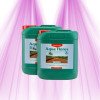 Canna AQUA Flores A+B CANNA - 2