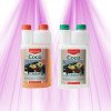 Canna COCO A+B CANNA - 1