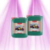 Canna COCO A+B CANNA - 2