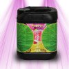 Stimulateur de Floraison - ATA PK 13-14 - ATAMI ATAMI - 2