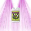 Big Bud - Advanced Nutrients Advanced Nutrients - 1
