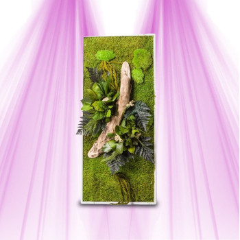 Cadre Végétal - Naturalys - Rectangulaire L