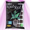 Root Riot – 24 Keim- und Schneidwürfel – WACHSTUMSTECHNOLOGIE