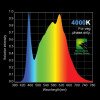 HLG 100 4000K - Panneau horticole LED - LEDs Samsung LM301H - Livré avec prise EU Horticulture Lighting Group - 4