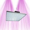 PURELED Q150 – Wachstum und Blüte von LED-Panels für den Gartenbau