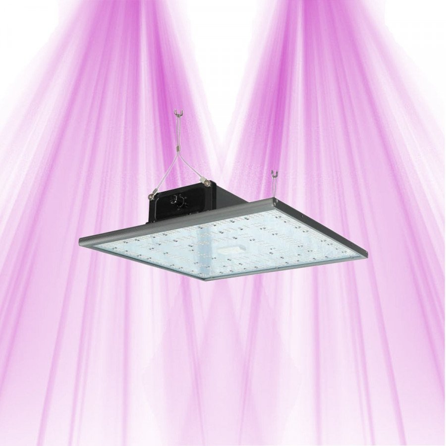 PURELED Q150 - Panneau LED Horticole croissance et floraison Pure LED - 2