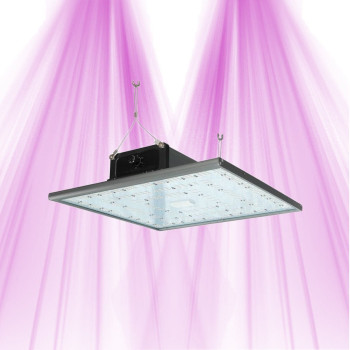 PURELED Q240 &ndash; Gartenbau-LED-Panel f&uuml;r Wachstum und Bl&uuml;te