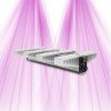 SANlight EVO 4 - 80 - 255W