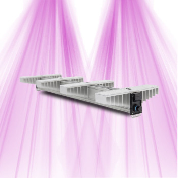 SANlight EVO 4 - 100 - 255W Sanlight - 1