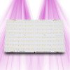 Quantum Board 288 BSpec - Quantum Board