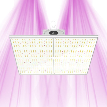 Quantum MAX 240W &ndash; Vollspektrum &ndash; LED-Gartenbaulampe f&uuml;r Growbox