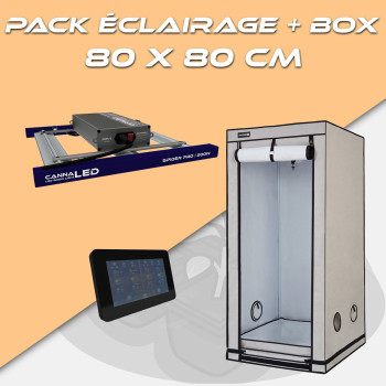 PACK - Spider Pro 320 - HomeBox Q80+