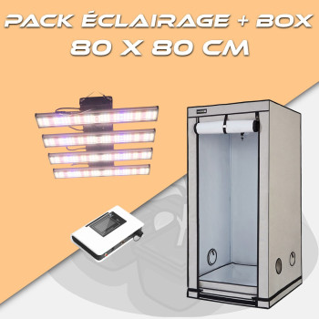 PACK-S240-Console--HomeBox Q80+ - 1