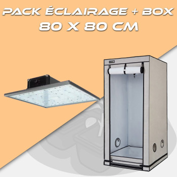 PACK-pureled q240_HomeBox Q80+ - 1