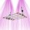 Cosmorrow 100W-Kits für die Blüte – Secret Jardin