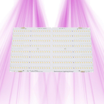 QB288 V2 RSPEC Horticulture Lighting Group - 1