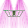 Lazerlite 720W - Éclairage multi-barres pour la croissance et la floraison - Pure Light - 1