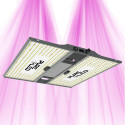 PURELED Q240 V2 - Panneau LED Horticole croissance et floraison