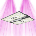 PURELED Q320 V2 - Panneau LED Horticole croissance et floraison