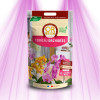 Terreau Or Brun pour Orchidées - Croissance et Floraison Optimales (4L)
