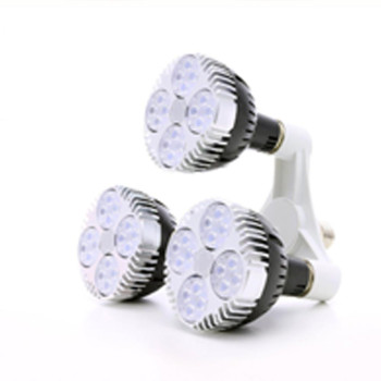 Packen Sie 3 SpectraBULB X30-Glühbirnen + Halterung + E27-Kabel ein – sofort einsatzbereit