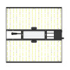 Quantum Bears 160W - Éclairage horticole LED puissant à spectre complet - Calitek