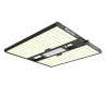 Quantum Bears 160W - Éclairage horticole LED puissant à spectre complet - Calitek