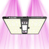 Quantum Bears 160W - Éclairage horticole LED puissant à spectre complet - Calitek