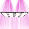 Quantum Bears 680W - Éclairage horticole LED puissant à spectre complet - Calitek