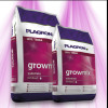 Plagron Grow Mix - stocké en intérieur Plagron - 1