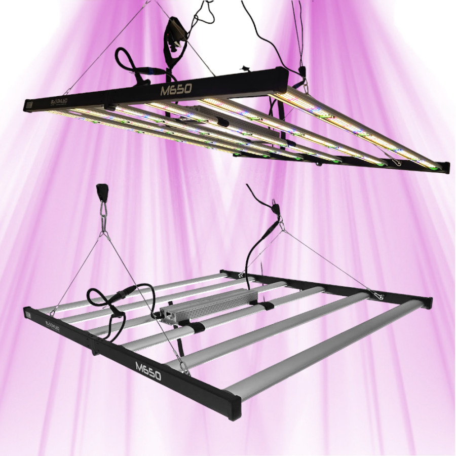 SpectraWILD M650 - Barres horticoles LEDs compatible domotique - LEDs Samsung - 650W