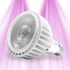 SpectraBULB X20 LED-Gartenbaulampe – GreenVisuaLED