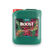 Canna BOOST - Booster de floraison